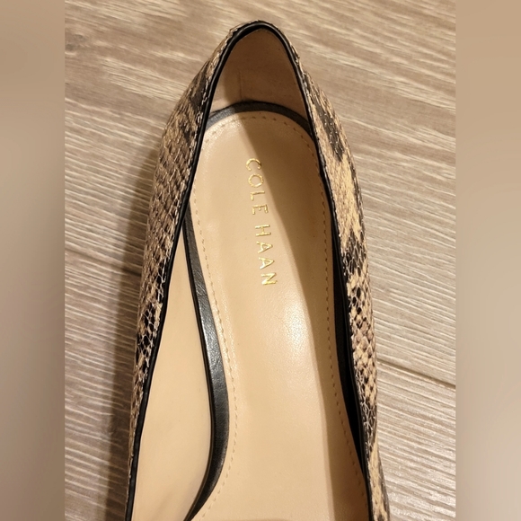 Cole Haan Skimmer Flat | Block Heel | Snake Embossed | Leather Black Apron |Sz 6 - Picture 5 of 8